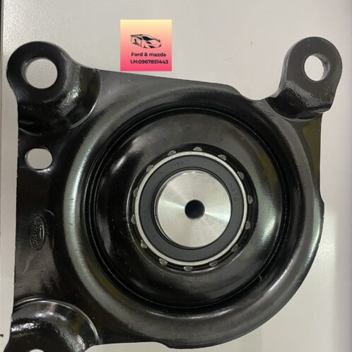 buly trung gian ly tâm ranger puly-trung-gian-ranger-CC1A12B591EA- 6C1Q19A216BA-CC1Z8678E