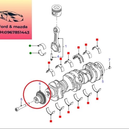 Bánh răng Trục cơ ford ranger mazda bt50 2012-2013-2014-2015-2016-2017-2018-2019-2020-nhông trục cốt máy ranger mazda bt50 3,2-bánh răng trục cơ động cơ ranger mazda bt50-BK3Q6306AA