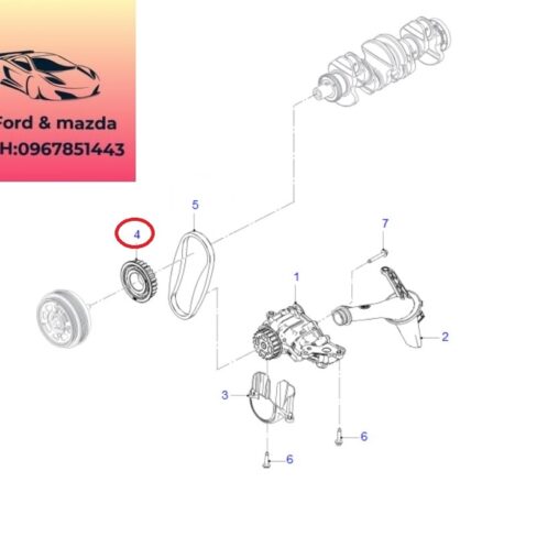 Bánh răng dây curoa bơm dầu máy ford ranger everest 2018-2022 2.0 Bánh răng dây curoa bơm dầu máy ford ranger everest 2018-2019-2020-2021-2022-nhông dây beld bơm nhớt máy ranger everest 2.0 bánh răng dây curoa bơm dầu động cơ ranger everest 2.0 GK2Q6A893AB