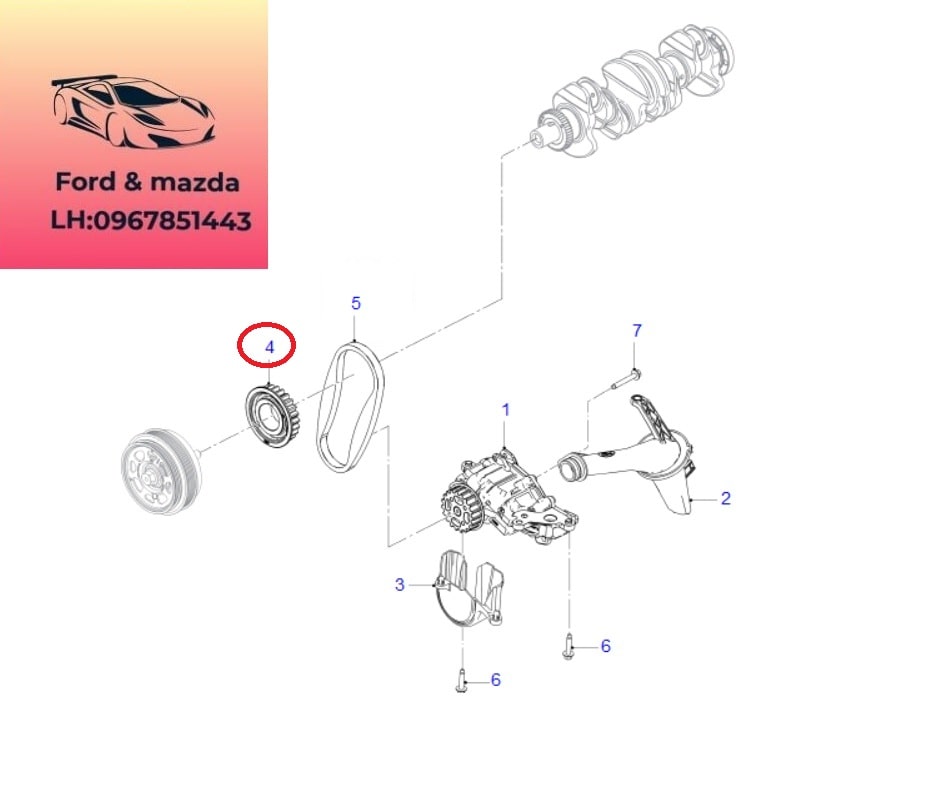Bánh răng dây curoa bơm dầu máy ford ranger everest 2018-2019-2020-2021-2022-nhông dây beld bơm nhớt máy ranger everest 2.0 bánh răng dây curoa bơm dầu động cơ ranger everest 2.0 GK2Q6A893AB (1) Bánh răng dây curoa bơm dầu máy ford ranger everest 2018-2019-2020-2021-2022-nhông dây beld bơm nhớt máy ranger everest 2.0 bánh răng dây curoa bơm dầu động cơ ranger everest 2.0 GK2Q6A893AB