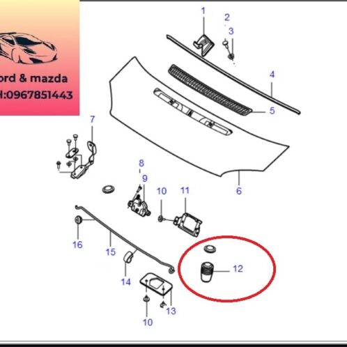 Cao su giảm chấn Capo trước ford transit 2009-2010-2011-2012-2013-2014-2015-2016-2017-2018-2019-2020-2021-2022-cao su ca bô trước ford transit XS4116C618AA