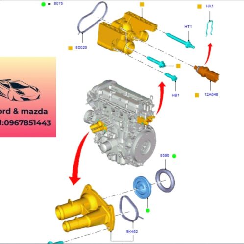 Chia nước động cơ ford ecosport 2014-2018 Chia nước động cơ ford ecosport 2014-2015-2016-2017-2018-chạc chia nước ford ecosport-cút chia nước động cơ ecosport-7M5G8K556AC