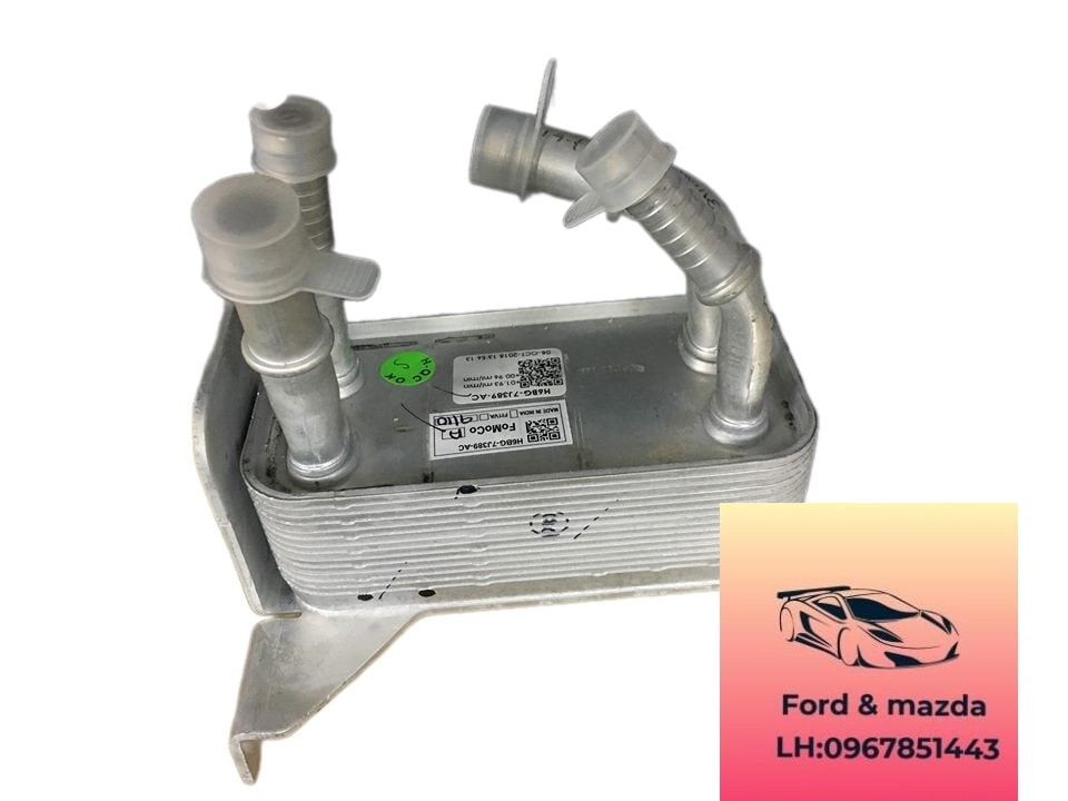 Két làm mát dầu hộp số ford ecosport 2018-2019-2020-2021-2022 két giải nhiệt dầu hộp số tự động ford ecosport H6BG7J389AC-H6BG7J389AE-GN117H189AB-GN117H189AC (3) Két làm mát dầu hộp số ford ecosport 2018-2019-2020-2021-2022 két giải nhiệt dầu hộp số tự động ford ecosport két làm mát nhớt hộp số ford ecosport H6BG7J389AC-H6BG7J389AE-GN117H189AB-GN117H189AC