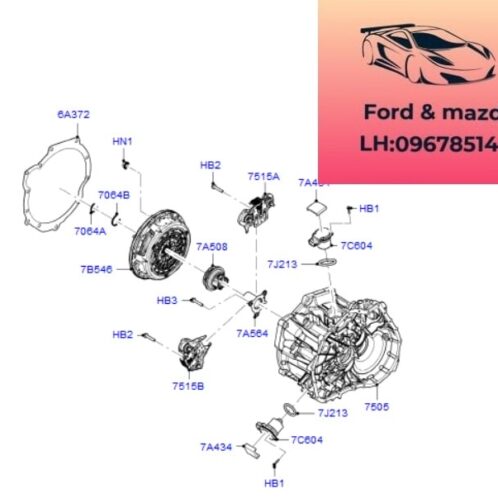 Bi tê bộ côn ford focus 2012-2013-2014-2015-bi tê bộ côn ly hợp kép ford focus bi tê càng đi số ford focus bi tê bàn ép lá côn ford focus KTCA6P7C603BC