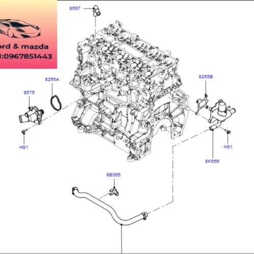 Van hằng nhiệt ford escape 2006-2007-2008-2009-2010-2011-2012-cụm van hằng nhiệt ford escape 4L5Z8575A