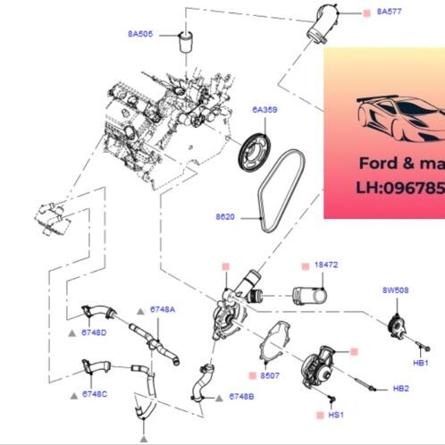 dây curoa Bơm nước ford escape 2003-2004-2005-2006 dây đai bơm nước động cơ ford escape 3.0 dây belt bơm nước máy ford escape 3.0 5L8Z8620AA